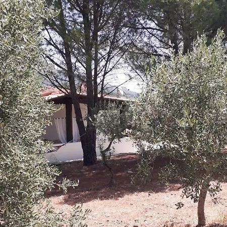 بيت للعطل Stella Marina Tertenìa